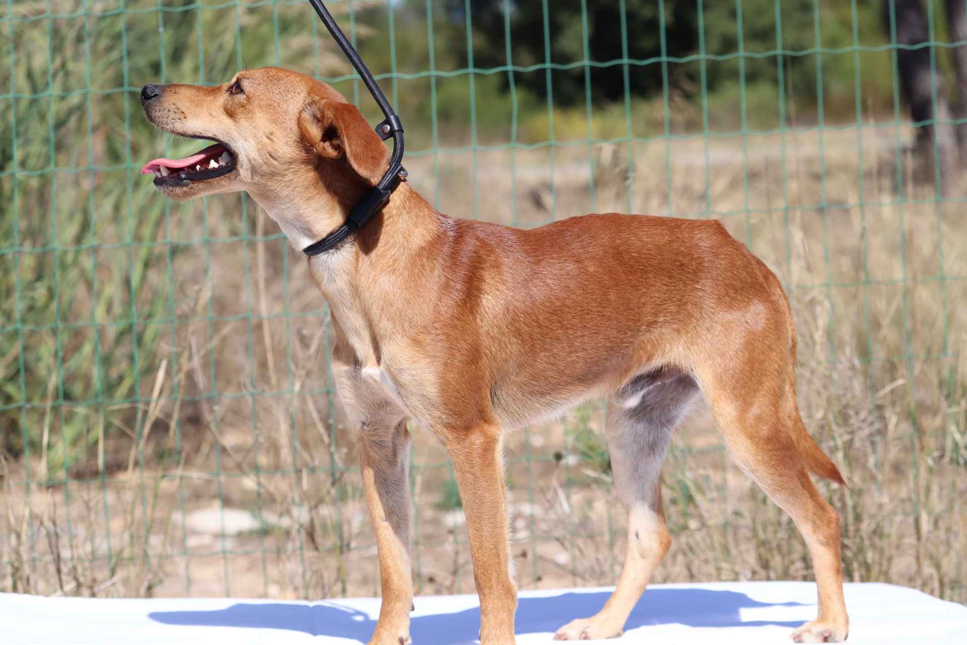 Segredo